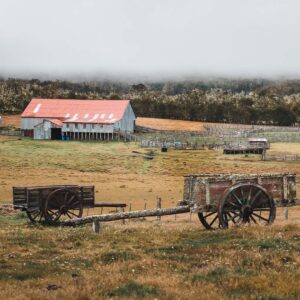 The grand journey - Image 13