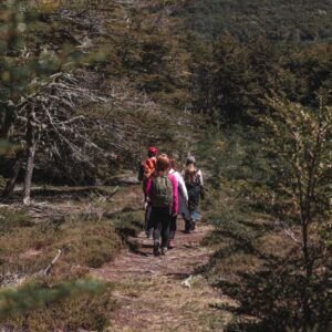 The grand journey - Image 7