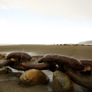 The grand journey - Image 17