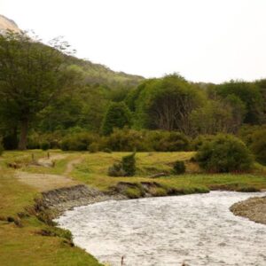 Tierra del Fuego National Park - Image 4